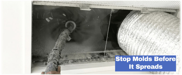 Air Duct Mold Removal in Boston MA
