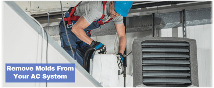 HVAC Mold Removal Boston MA